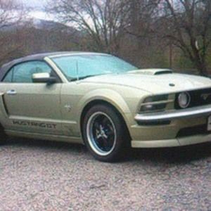 Meet your Posher, Thomas